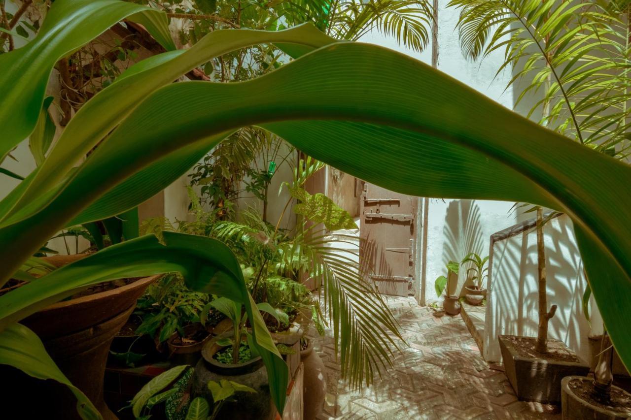 Malindi Guest House Zanzibar Bagian luar foto